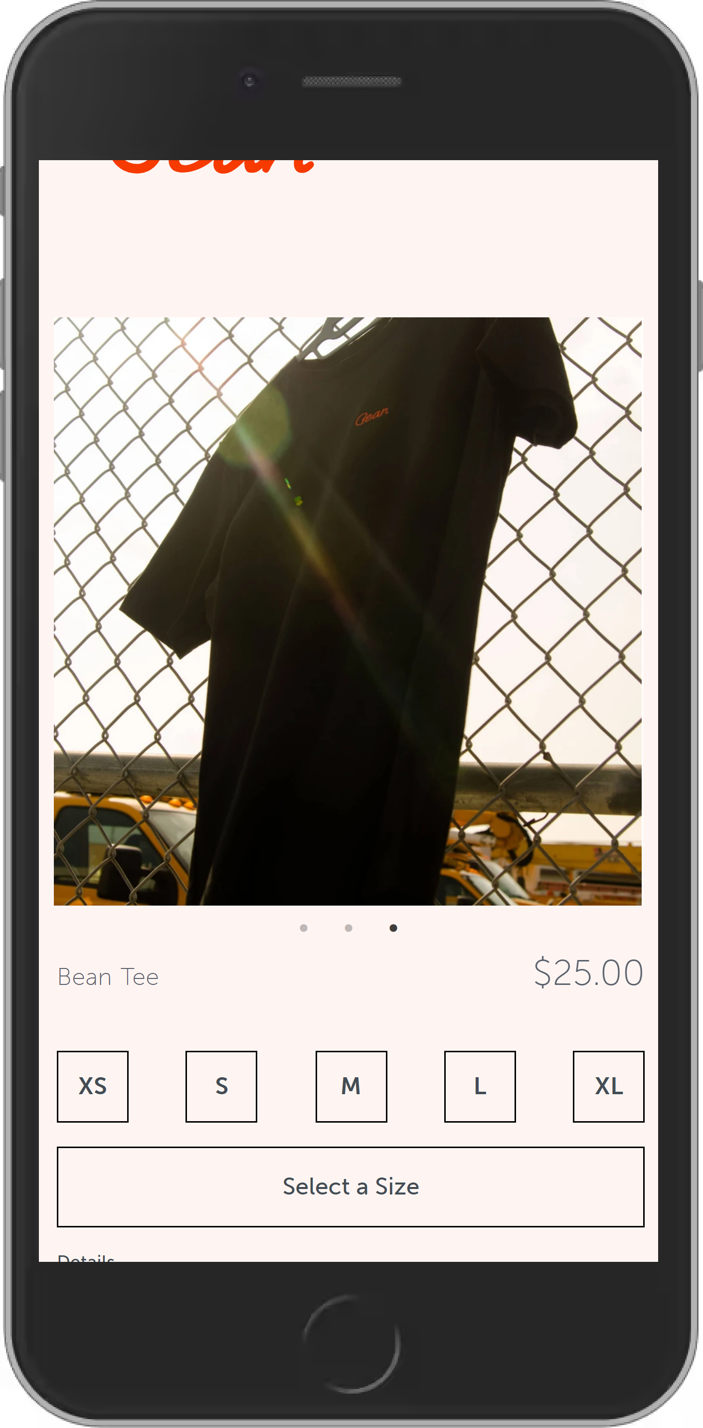 Product Page Example (PDP) - Mobile